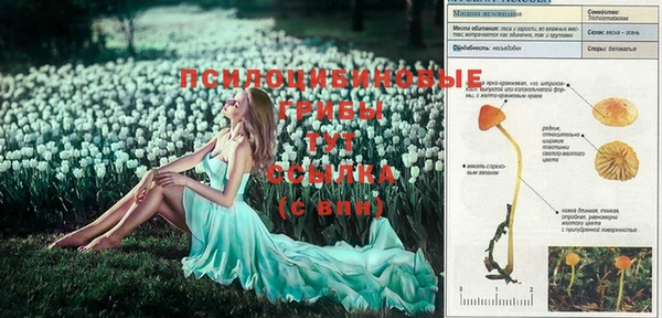 каннабис Алексеевка