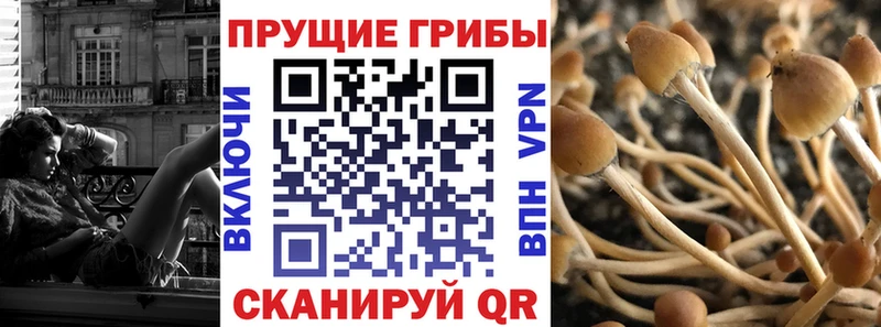 ОМГ ОМГ сайт  Новокубанск  Псилоцибиновые грибы Cubensis 